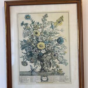 November, from 'twelve Months of Flowers' by Robert Furber